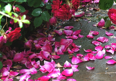 花開花落終有時