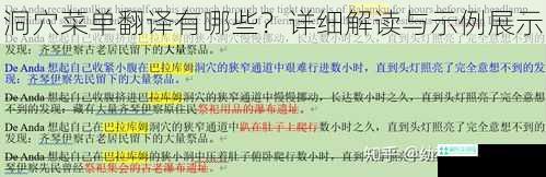 洞穴菜单翻译有哪些？详细解读与示例展示