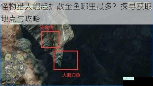 怪物猎人崛起扩散金鱼哪里最多？探寻获取地点与攻略