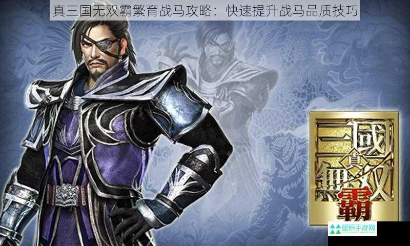 真三国无双霸繁育战马攻略：快速提升战马品质技巧