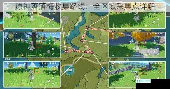 原神落落梅收集路线：全区域采集点详解