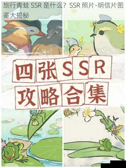 旅行青蛙 SSR 是什么？SSR 照片-明信片图鉴大揭秘