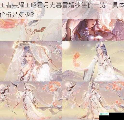 王者荣耀王昭君月光暮雪婚纱售价一览：具体价格是多少？