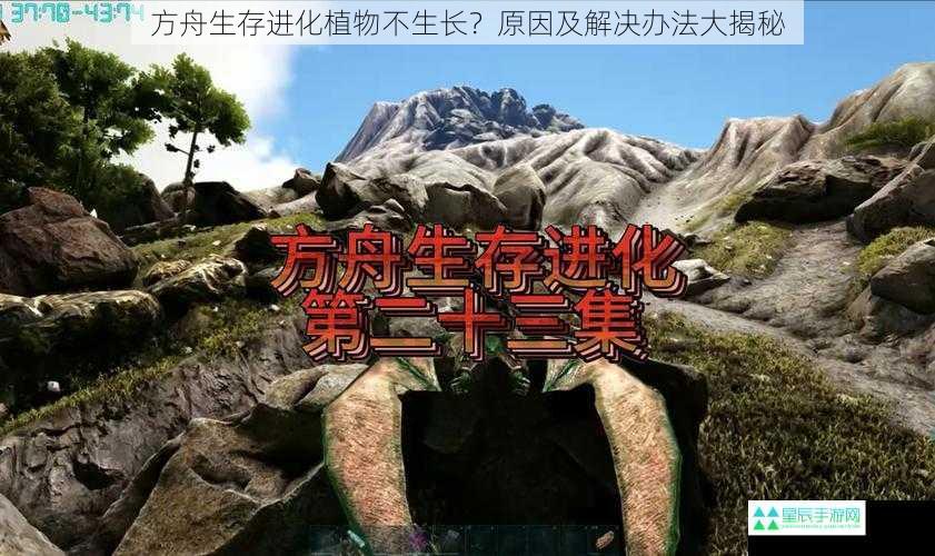 方舟生存进化植物不生长？原因及解决办法大揭秘