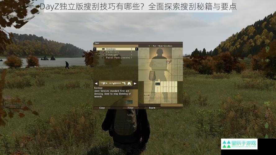 DayZ独立版搜刮技巧有哪些？全面探索搜刮秘籍与要点