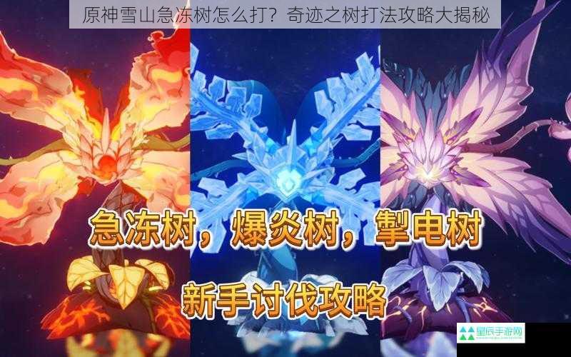 原神雪山急冻树怎么打？奇迹之树打法攻略大揭秘