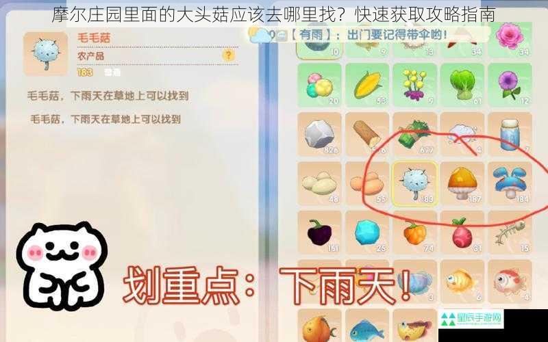 摩尔庄园里面的大头菇应该去哪里找？快速获取攻略指南