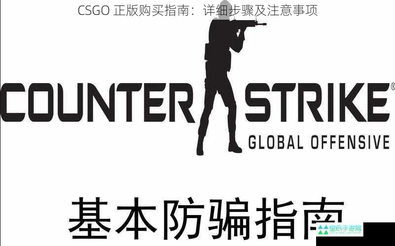 CSGO 正版购买指南：详细步骤及注意事项