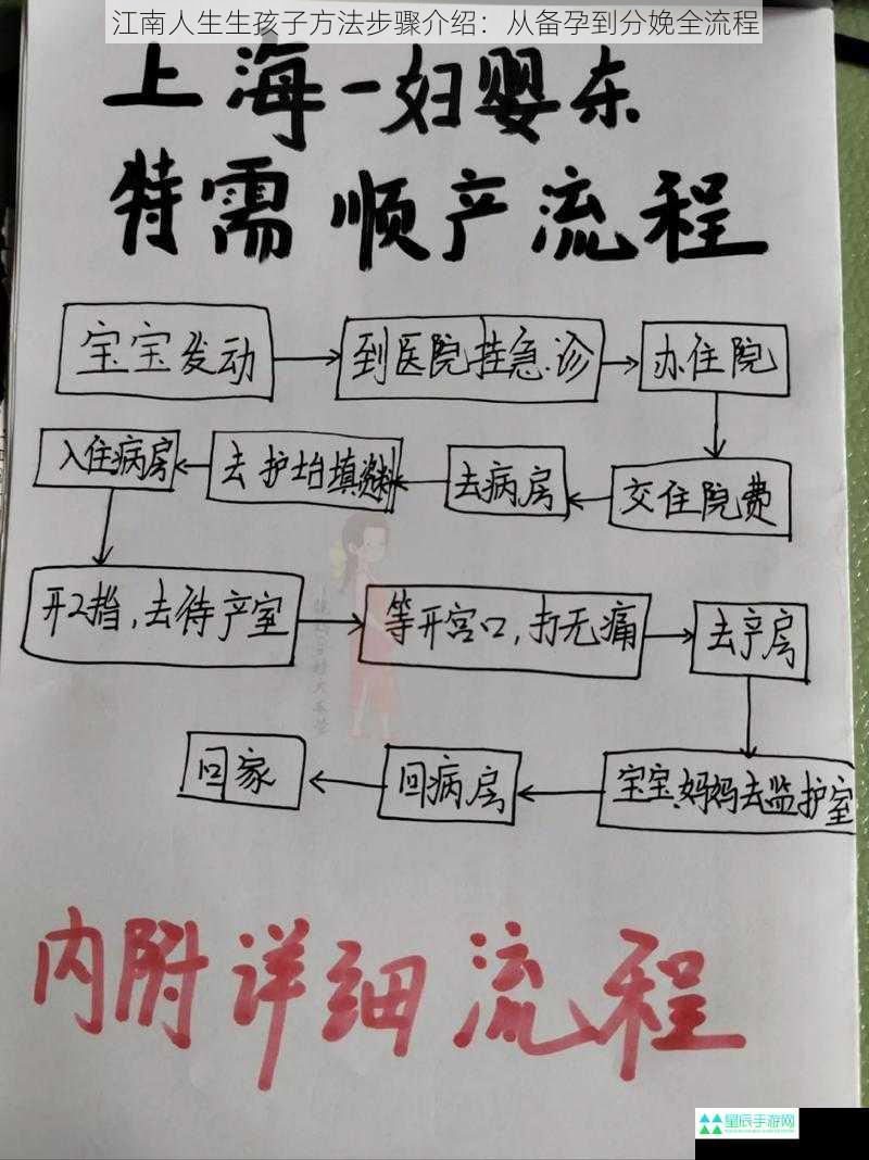 江南人生生孩子方法步骤介绍：从备孕到分娩全流程