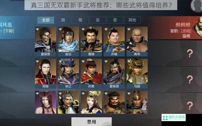 真三国无双霸新手武将推荐：哪些武将值得培养？