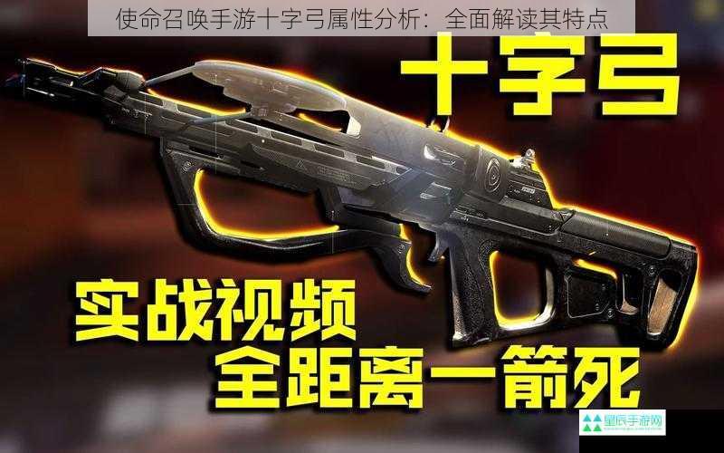 使命召唤手游十字弓属性分析：全面解读其特点