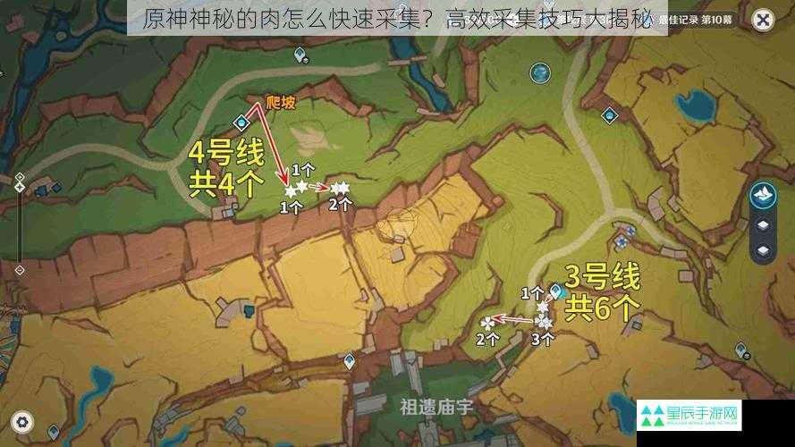 原神神秘的肉怎么快速采集？高效采集技巧大揭秘