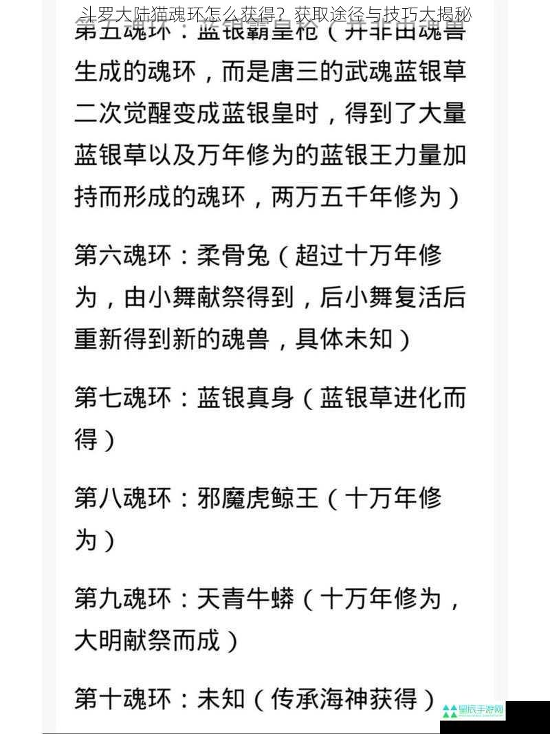 斗罗大陆猫魂环怎么获得？获取途径与技巧大揭秘