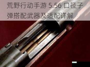 荒野行动手游 5.56 口径子弹搭配武器及适配详解