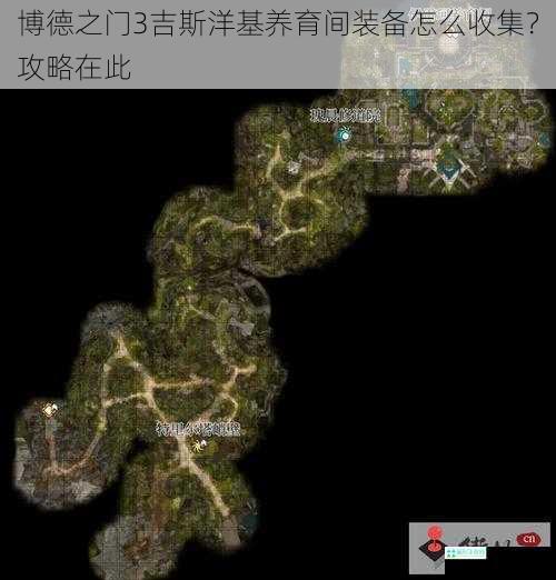 探索吉斯洋基领地