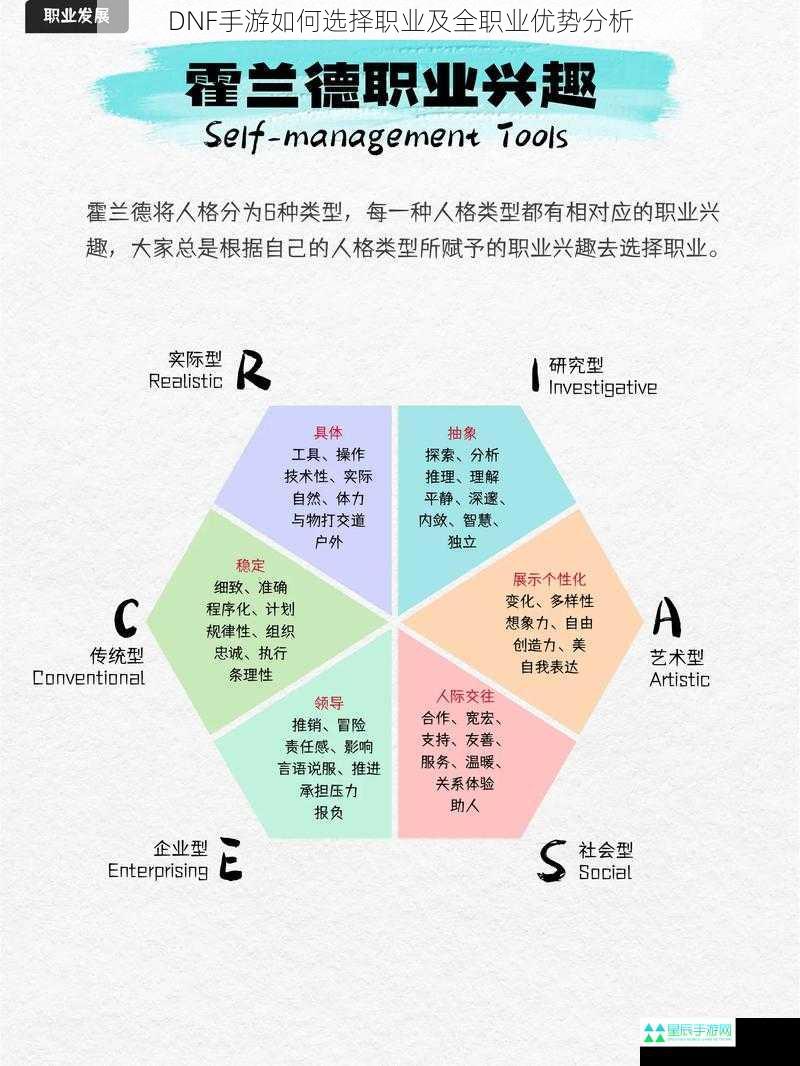 职业定位与玩法风格