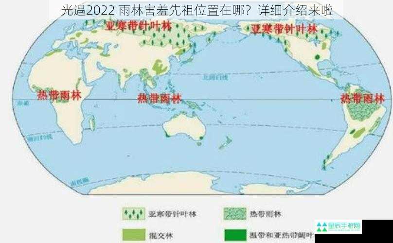 雨林地图的基本情况