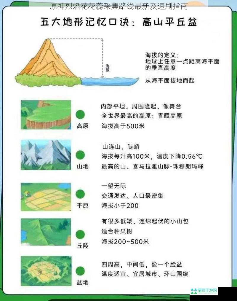 地形分布与特点