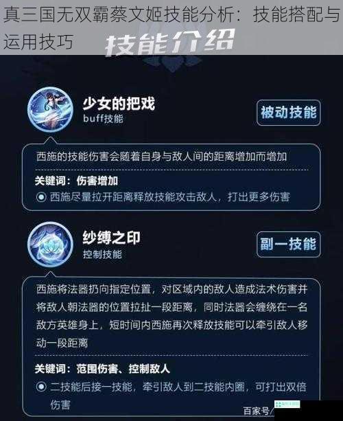 真三国无双霸蔡文姬技能分析：技能搭配与运用技巧