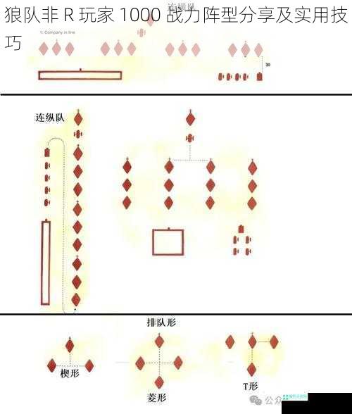 狼队非 R 玩家 1000 战力阵型分享及实用技巧