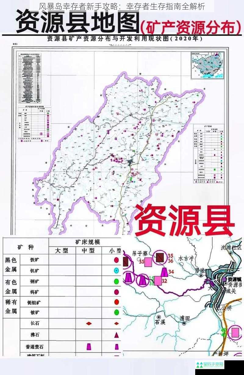 风暴岛幸存者新手攻略：幸存者生存指南全解析