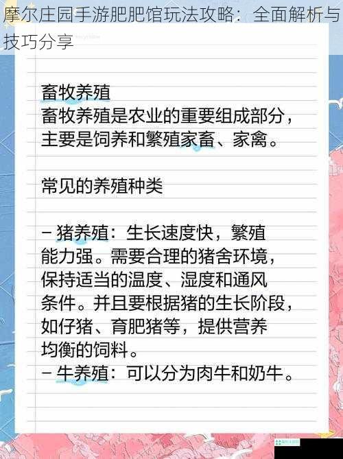 摩尔庄园手游肥肥馆玩法攻略：全面解析与技巧分享