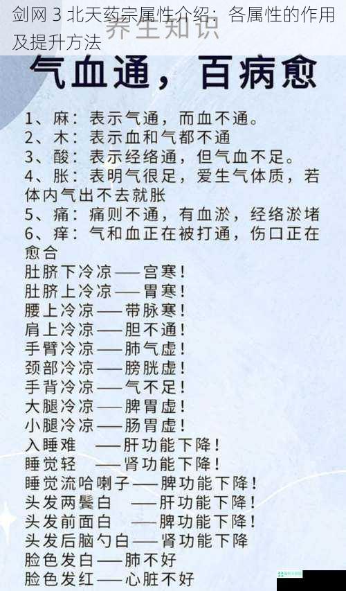 基础属性：气血与元气