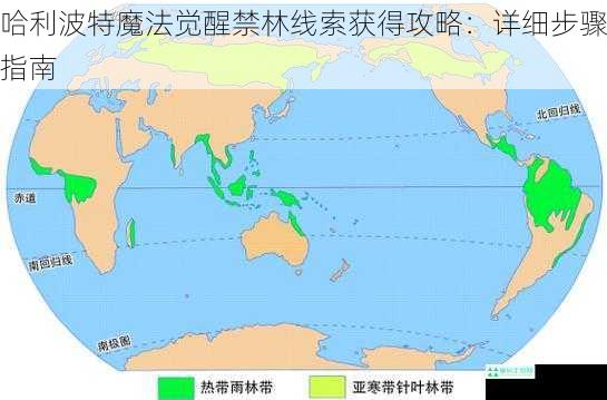 了解禁林地图与线索分布