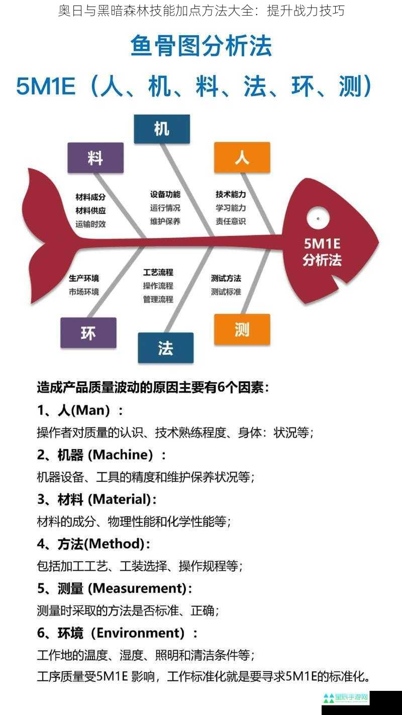 奥日与黑暗森林技能加点方法大全：提升战力技巧