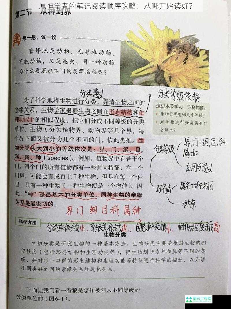 原神学者的笔记阅读顺序攻略：从哪开始读好？