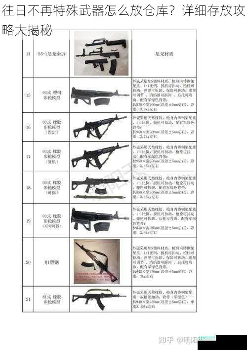 往日不再特殊武器怎么放仓库？详细存放攻略大揭秘