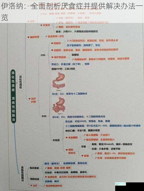 伊洛纳：全面剖析厌食症并提供解决办法一览