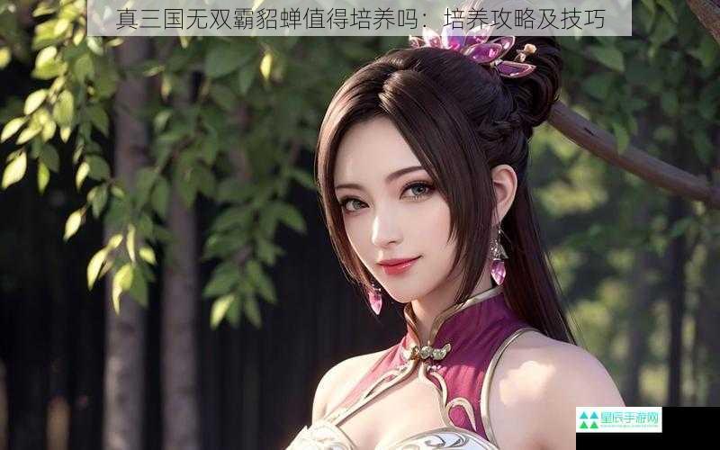 真三国无双霸貂蝉值得培养吗：培养攻略及技巧