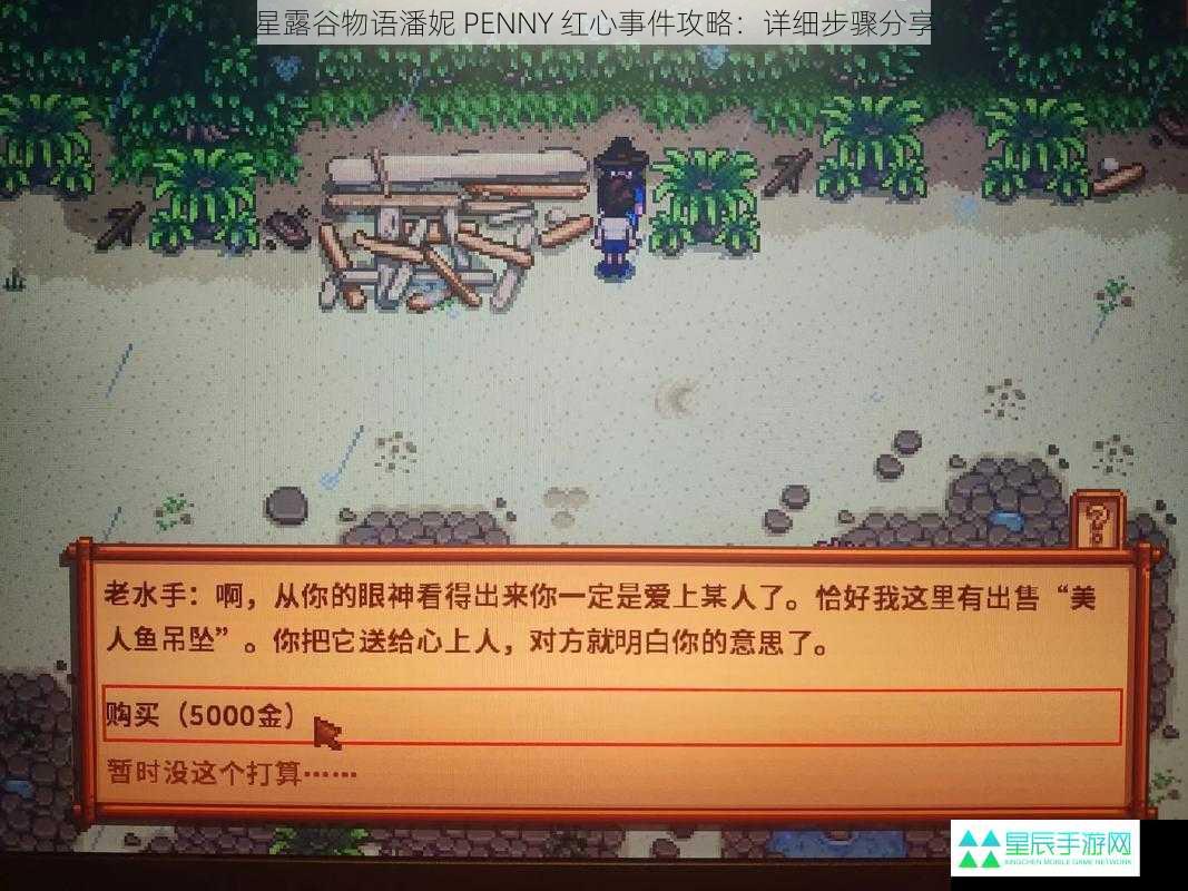 星露谷物语潘妮 PENNY 红心事件攻略：详细步骤分享