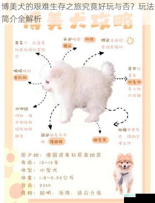 博美犬的艰难生存之旅究竟好玩与否？玩法简介全解析