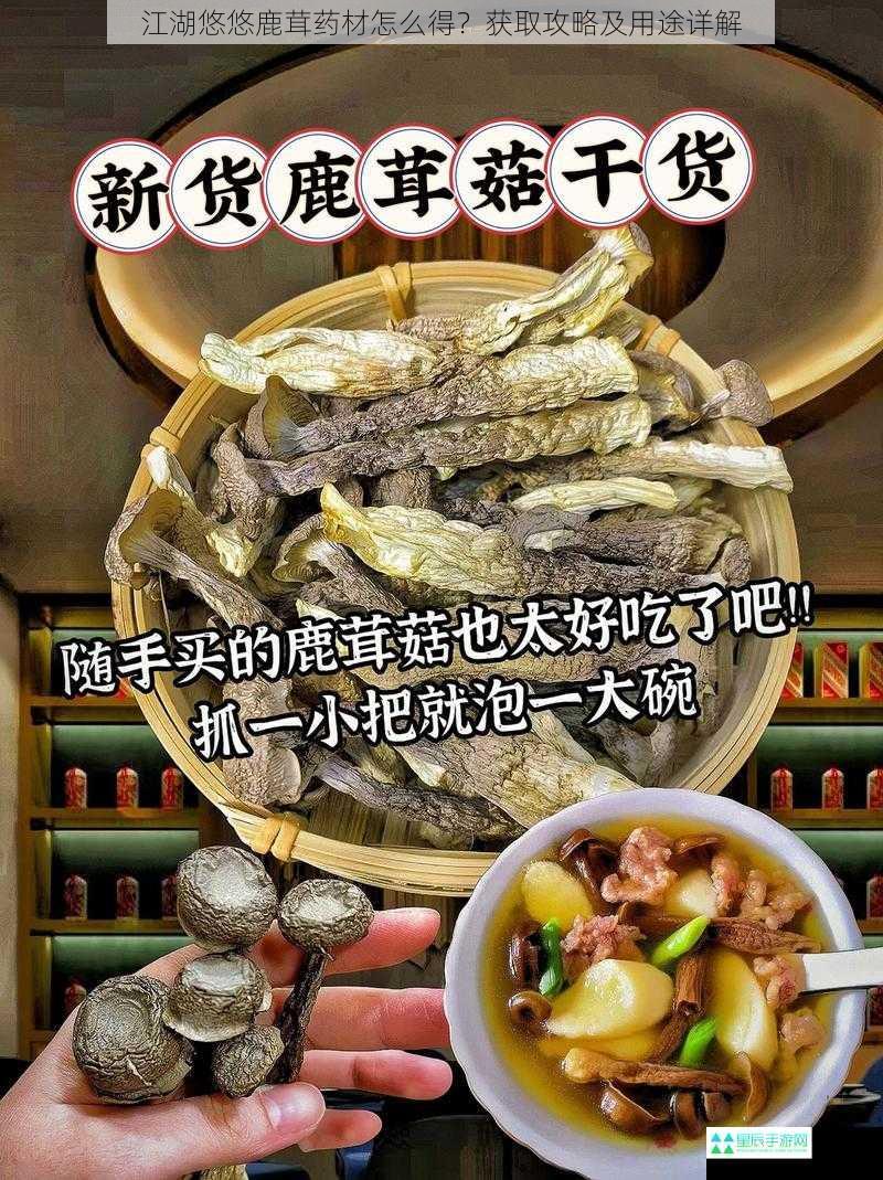 江湖悠悠鹿茸药材怎么得？获取攻略及用途详解