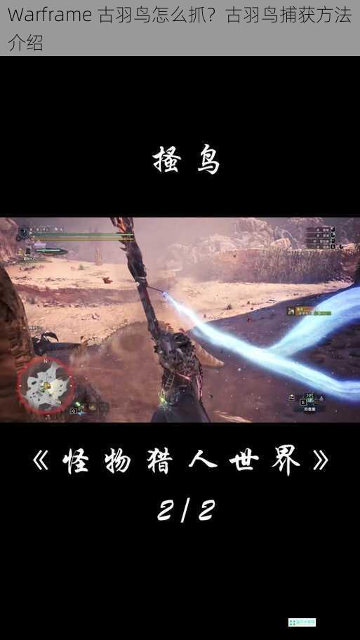 Warframe 古羽鸟怎么抓？古羽鸟捕获方法介绍