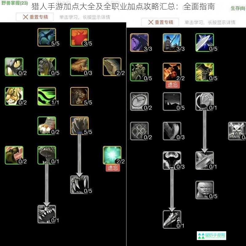 猎人手游加点大全及全职业加点攻略汇总：全面指南