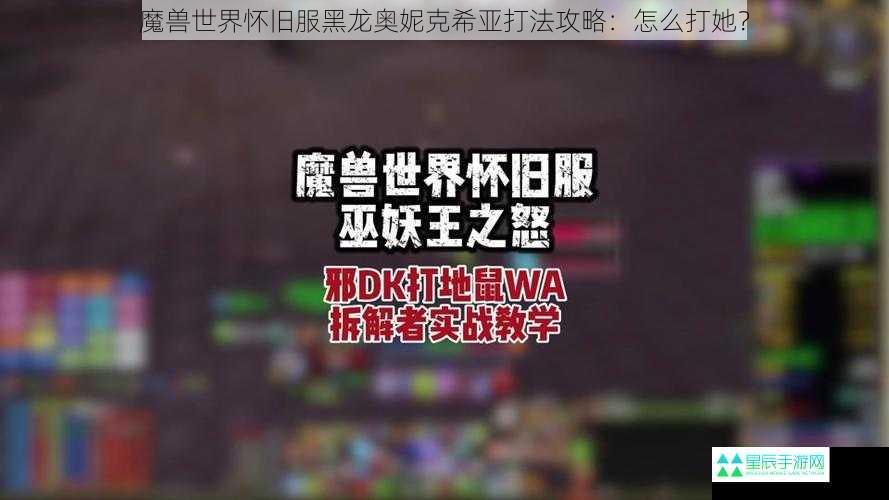 魔兽世界怀旧服黑龙奥妮克希亚打法攻略：怎么打她？