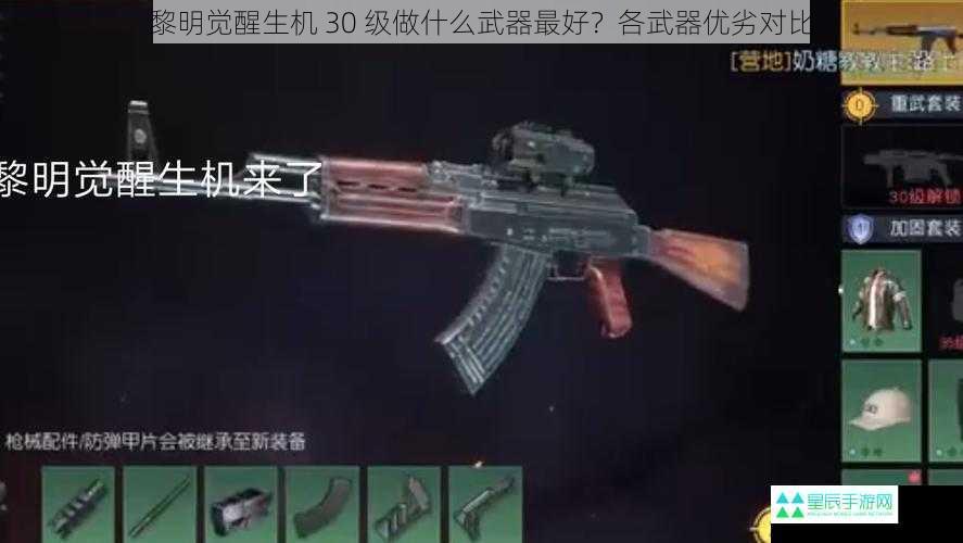 黎明觉醒生机 30 级做什么武器最好？各武器优劣对比