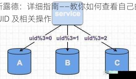 斯露德：详细指南——教你如何查看自己的 UID 及相关操作