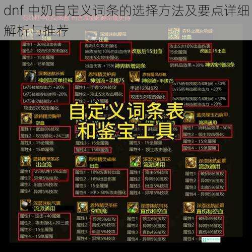 dnf 中奶自定义词条的选择方法及要点详细解析与推荐