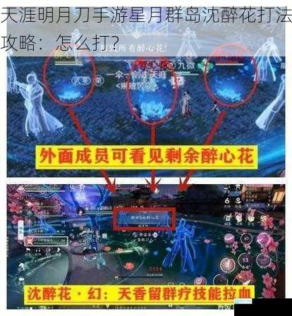 天涯明月刀手游星月群岛沈醉花打法攻略：怎么打？