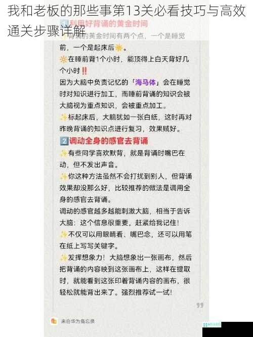 我和老板的那些事第13关必看技巧与高效通关步骤详解