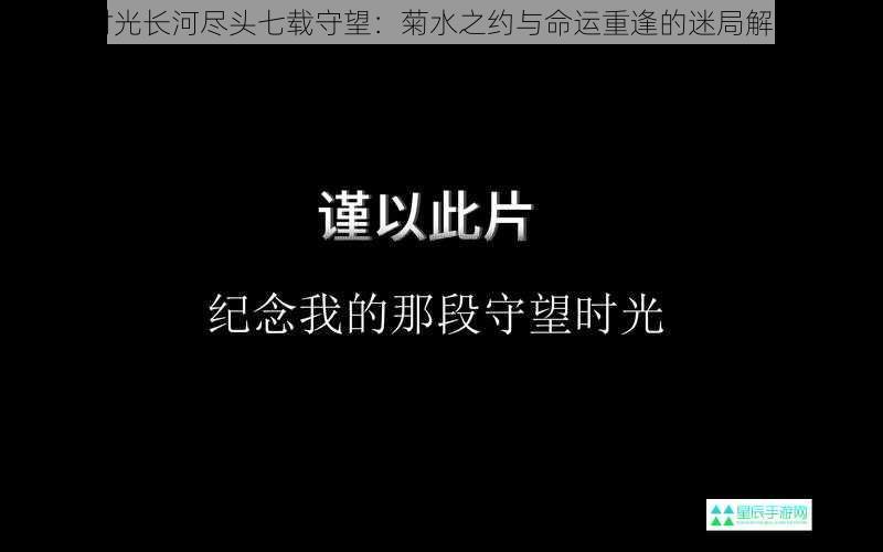 时光长河尽头七载守望：菊水之约与命运重逢的迷局解析