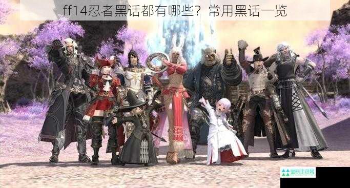 ff14忍者黑话都有哪些？常用黑话一览