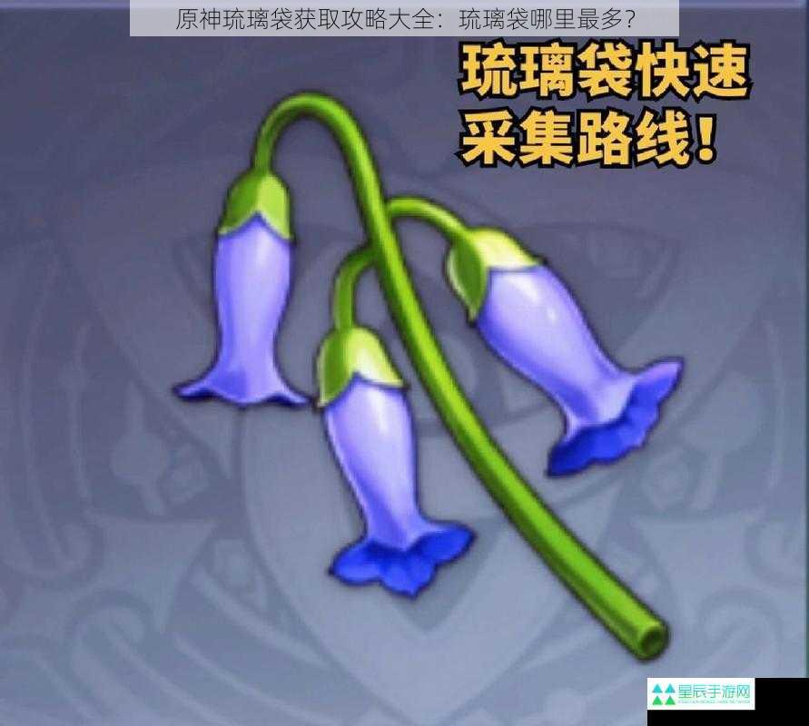 原神琉璃袋获取攻略大全：琉璃袋哪里最多？