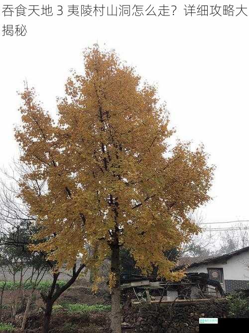 吞食天地 3 夷陵村山洞怎么走？详细攻略大揭秘