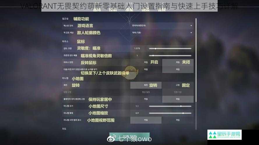 VALORANT无畏契约萌新零基础入门设置指南与快速上手技巧详解