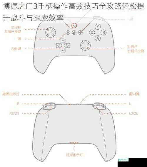 博德之门3手柄操作高效技巧全攻略轻松提升战斗与探索效率